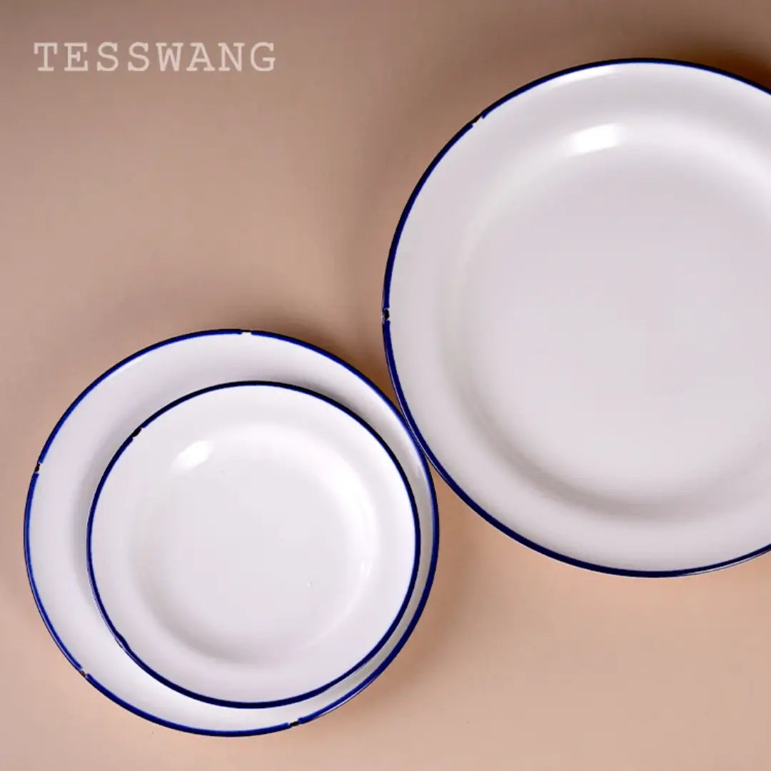 16 Piece Dinner Set- Blue Lining