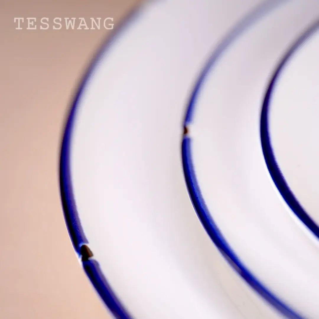 16 Piece Dinner Set- Blue Lining